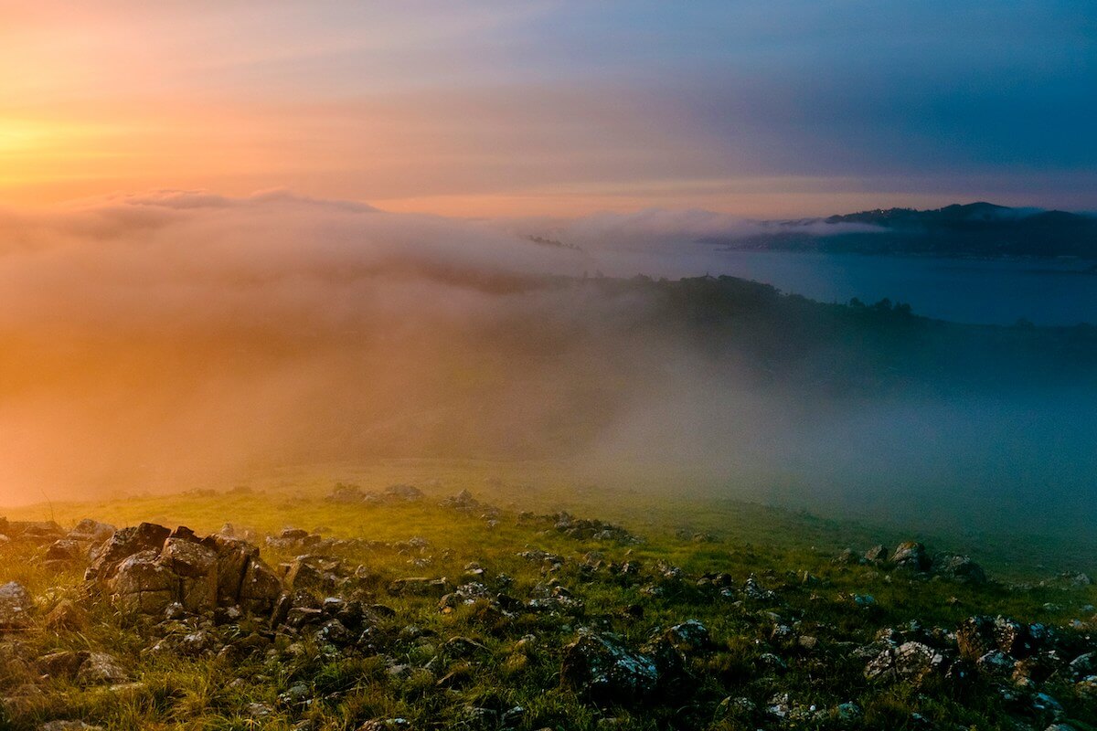 A misty morning view in Belvedere, Marin County, with rolling hills partially covered in fog.