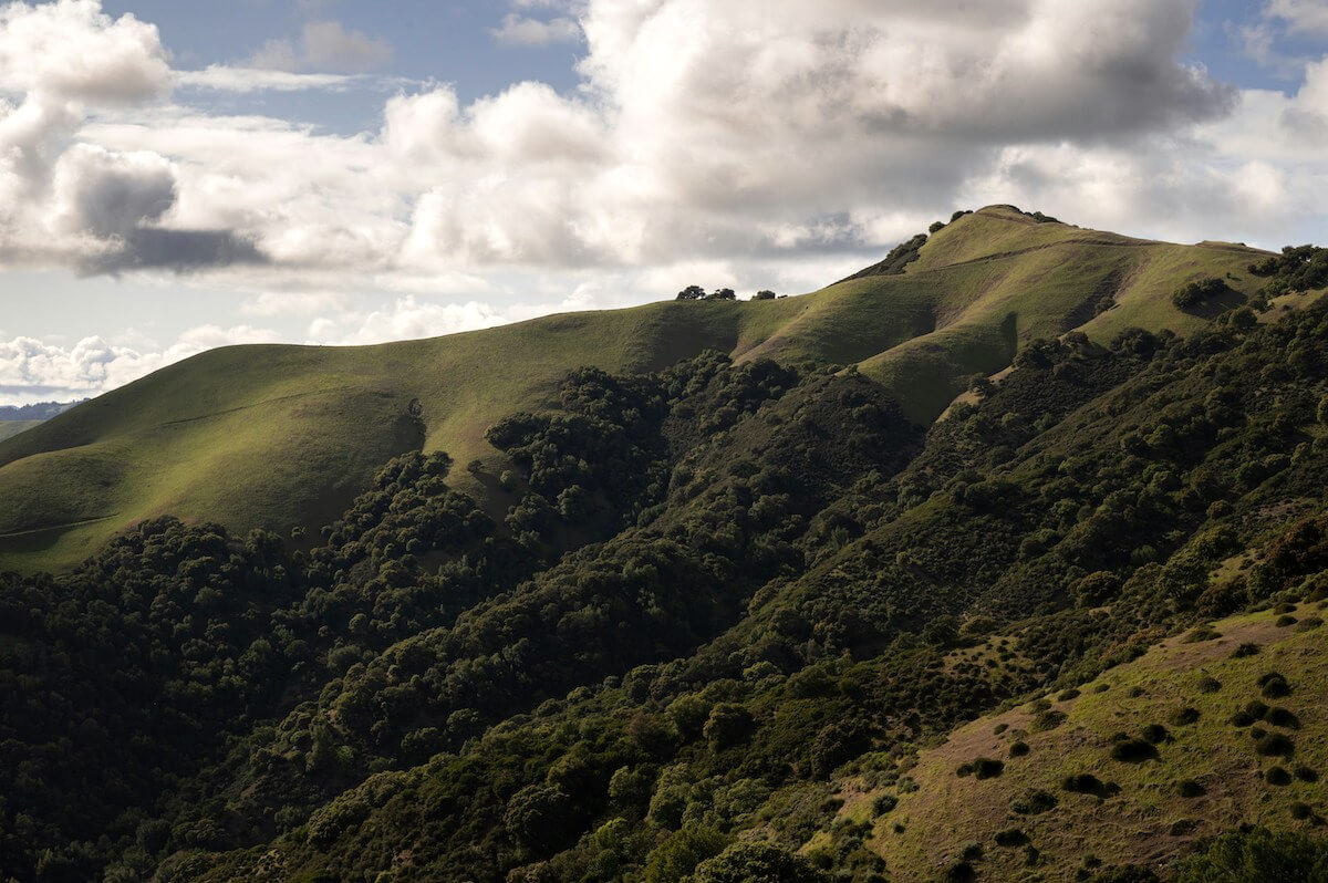 Rolling green hills near Ross, Marin County, showcasing the natural beauty of this quiet, upscale town.