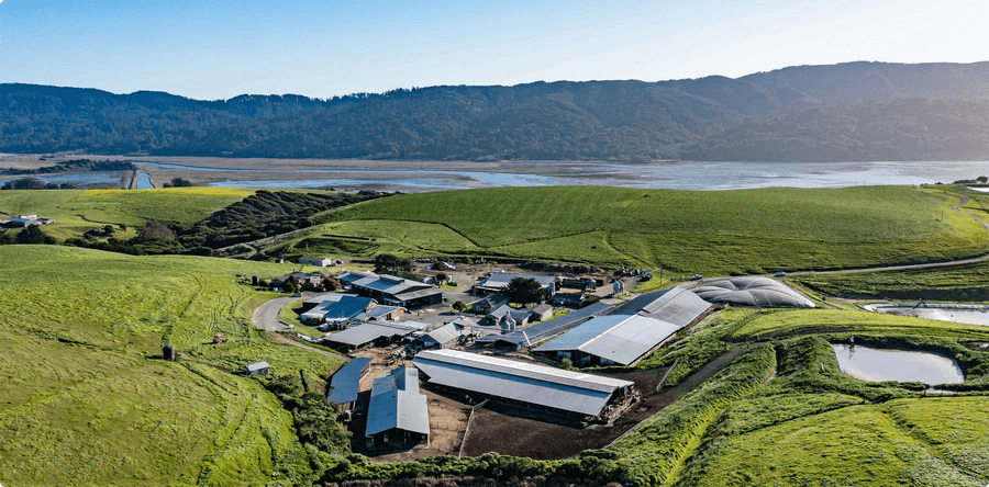 Point Reyes Farmstead Cheese Company featured in the Marin Bubble newsletter as a Local Legend.