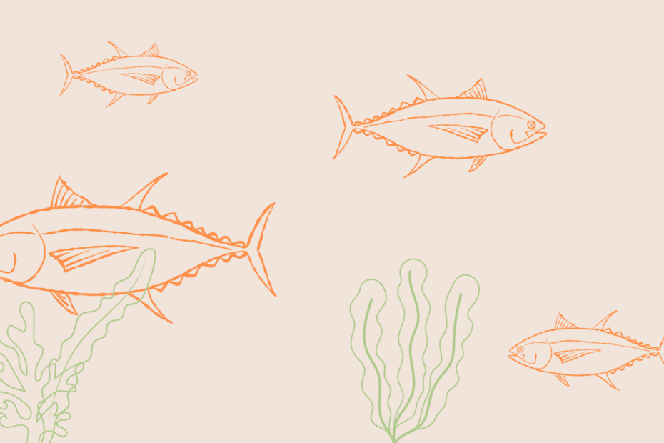 The Art of Tuna A Culinary Celebration with Chef Michael Mina Memorial Day Weekend Marin Bubble Newsletter